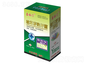 ݲѿߗU̿~ߣ-ϲRT-r(nng)