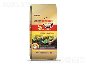 øЙC(j)-SΈ@-ǰطʘI(y)