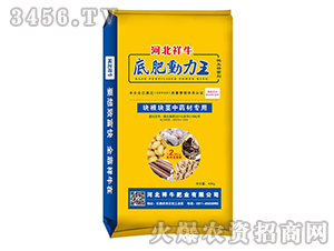 KKoˎČ÷-׷ʄ-ţʘI(y)