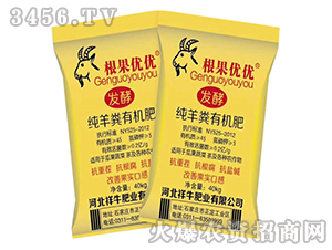 SЙC(j)-(yu)(yu)-ţʘI(y)