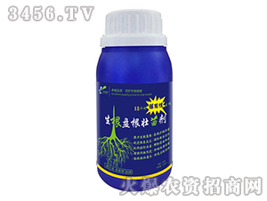 P(pn)焩-׿R-׿r(nng)I(y)