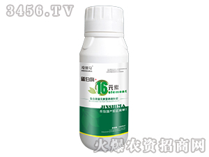 ø+16Ԫ-n{R-̩(li)(gu)H