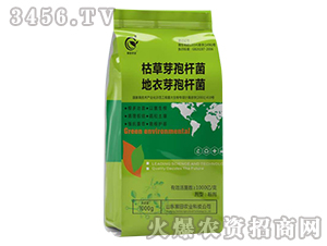 ݲݵѿߗU-r(nng)I(y)