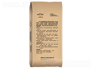 {נIB(yng)-󱊷ʘI(y)