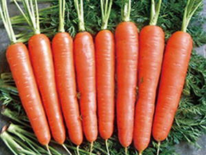 ̩ɽ̖(ho)-}N-r(nng)I(y)