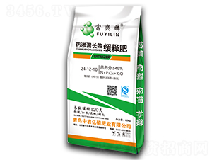 B©LЧጷ24-12-10--r|