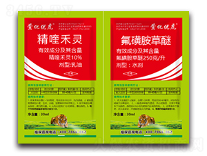 (zhun)úͨͳ݄-滯(yu)-滯h(yun)