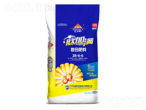 ͺϷ28-6-6-ļӝM-VƈD