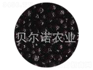 ЙCʰĤ-ؐZr(nng)I(y)