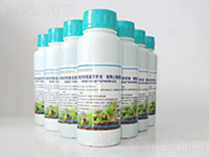 Сˮ΢IB(yng)ҺҺ-