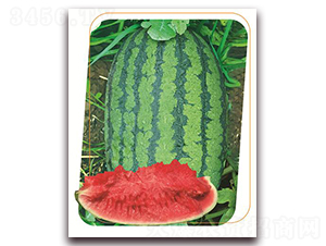 ʢһ̖-ϷN-(yu)r(nng)I(y)