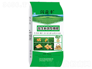 L(zhng)Ч(zhun)÷18-12-20-WS-~r(nng)I(y)