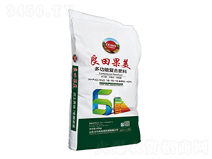 ๦܏ͺϷ16-16-10--ȿɵ