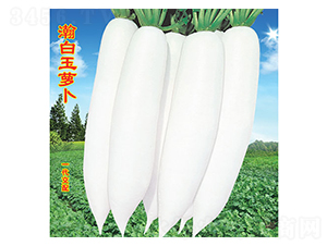 嫰}-}N-f(wn)r(nng)߿