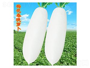 ÷}-}N-f(wn)r(nng)߿