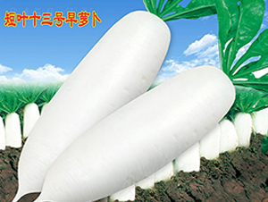 ~ʮ̖(ho)}-}N-f(wn)r(nng)߿