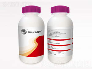 ļԠI(yng)B(yng)-õ-õr(nng)I(y)