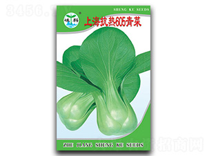 Ϻ605-˷N-ӿƷNI(y)