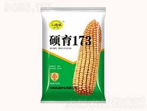 T1734500-׷N-̵NI(y)