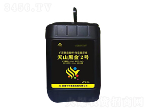 VԴS⛡ԭҺ-ɽڽ2̖-ú 