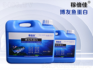 ~(y)ЙC(j)Һ-ڱ-r(nng)I(y) 