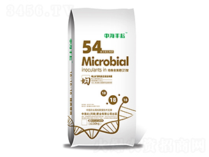 ͺ΢-ȫ2-кʘI(y)