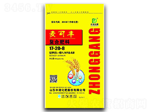 С(zhun)Ï(f)Ϸ17-20-8-иۻ