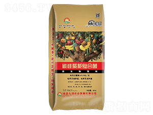 ̼܏ͺϾ-ŝr(nng)I(y)