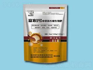 r(nng)1̖(ho)вˎ(zhun)-r(nng)F(xin)