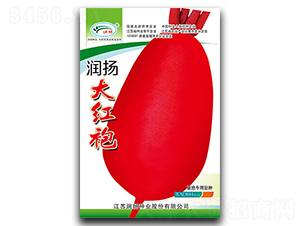 P(yng)t-}N-P(yng)NI(y)