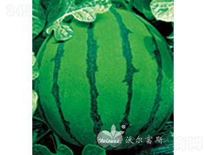 ohF1߮a컨Ƥϣ-ϷN-֠˹