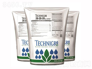 ͨ÷20-20-20-(yng)ǻ