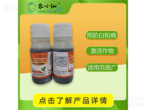 Pһ̖(ho)׷P-r(nng)С-fGԴ