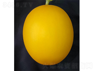 3̖(ho)-ϷN-r(nng)ƷN