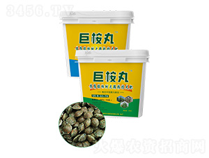 Swʧ15-8-22+TE--SշʘI(y)