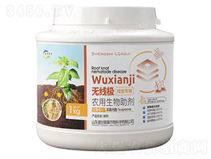 o(w)Ox(chng)(zhun)-ʢ¡