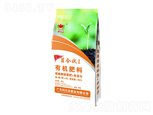 ЙC-I(lng)-_(d)ʘI(y)