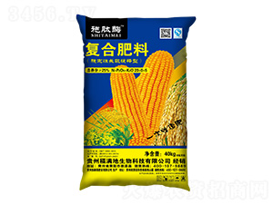 m÷(wn)L(zhng)Ч͏(f)Ϸ20-0-5-ʩø-ʩ̩ʘI(y)