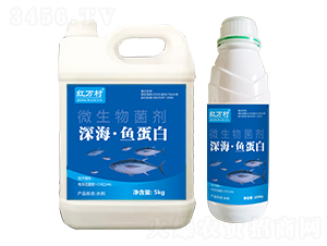 ~(y)΢-tf(wn)-l(xing)弾L(fng)