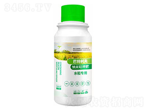 ˮ(zhun)ü{׹⛷--С-֮