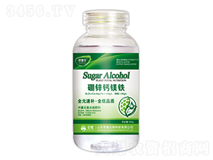 }VF-ِʩ-sҫr(nng)I(y)