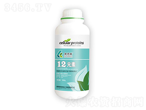 12Ԫأƿ-Ӣ-sҫrI(y)