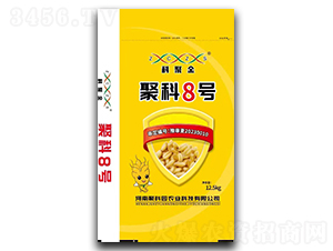 ۿ8̖(ho)-ƾ۽-ۿƈ@r(nng)I(y)