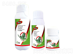 12%׾Sx(chng)SC-ҹ-һ[Ƽ