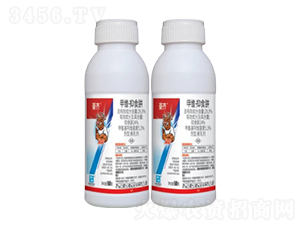 29.3%׾Sʳ鄩SE-R-лƌW