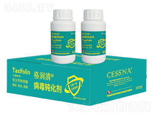 g-(rn)-ЅRr(nng)I(y)