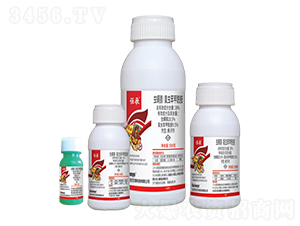 38%x(chng)桤x(chng)Ҹ-֎-