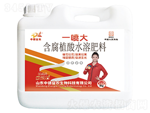 һ󺬸ֲˮܷ-ƹʯ-еr(nng)