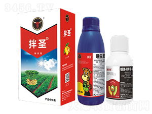 x(chng)+˪`桤߻-ʥ-ţ(gu)H