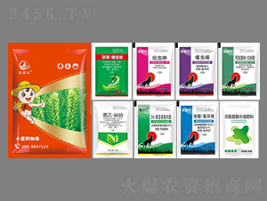 Сa(chn)ײͣ˺һ-P 